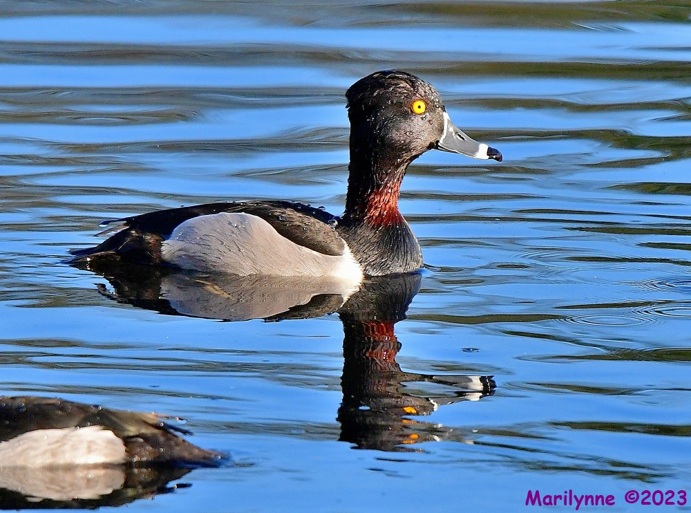 DSC_2375_001.JPG