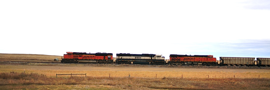 DSC_2376.JPG