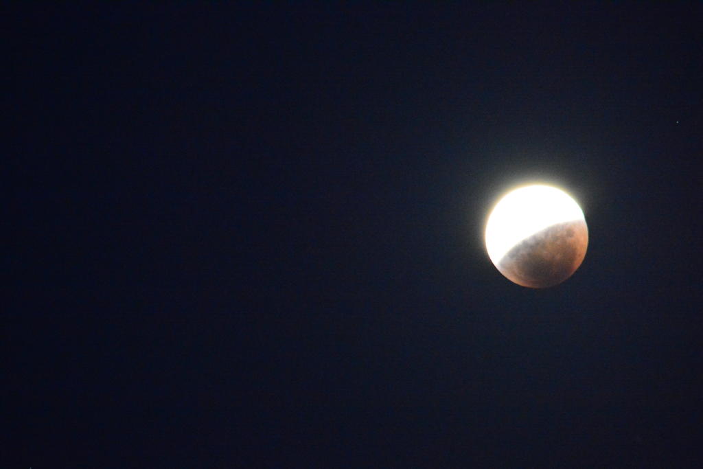 DSC_2380.jpg