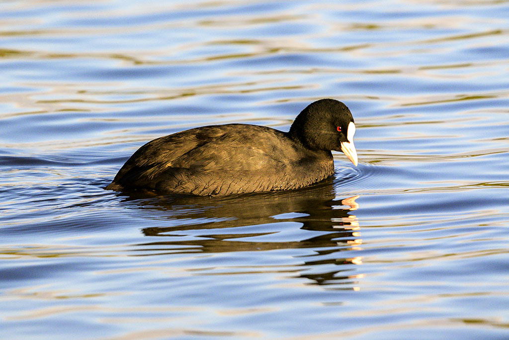 DSC_2381.jpg