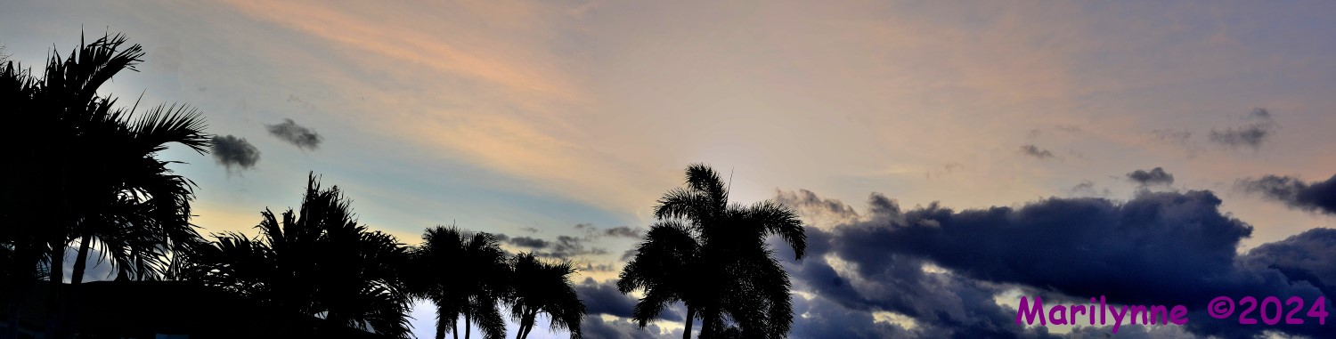 DSC_2381_stitch6_001.JPG