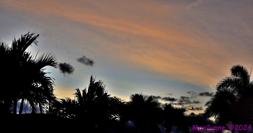 DSC_2381_stitch_001.JPG