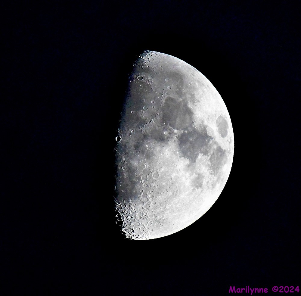 DSC_2386_001.JPG