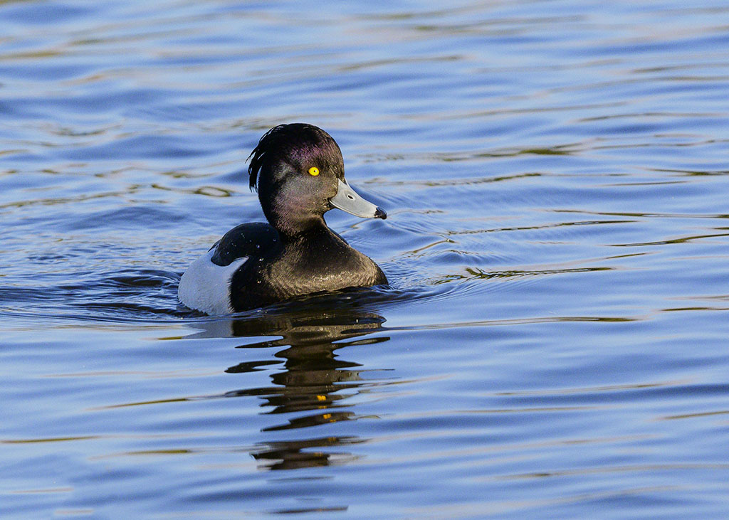 DSC_2393.jpg
