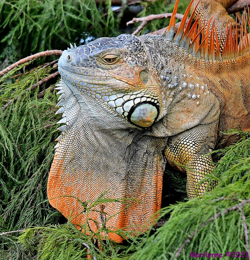 DSC_2399_001.JPG