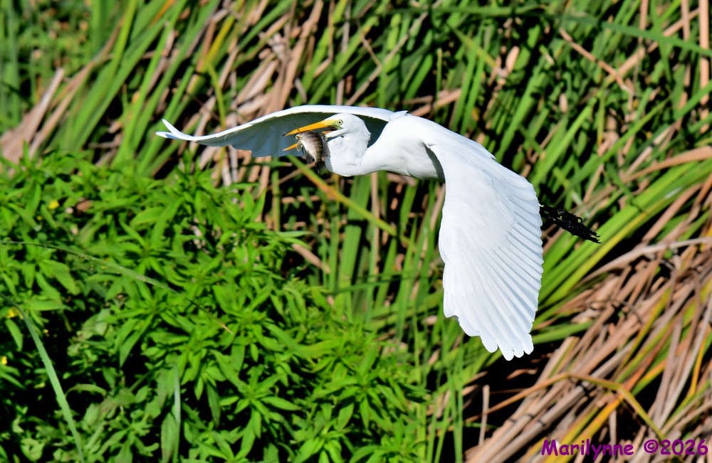 DSC_2399_001.JPG