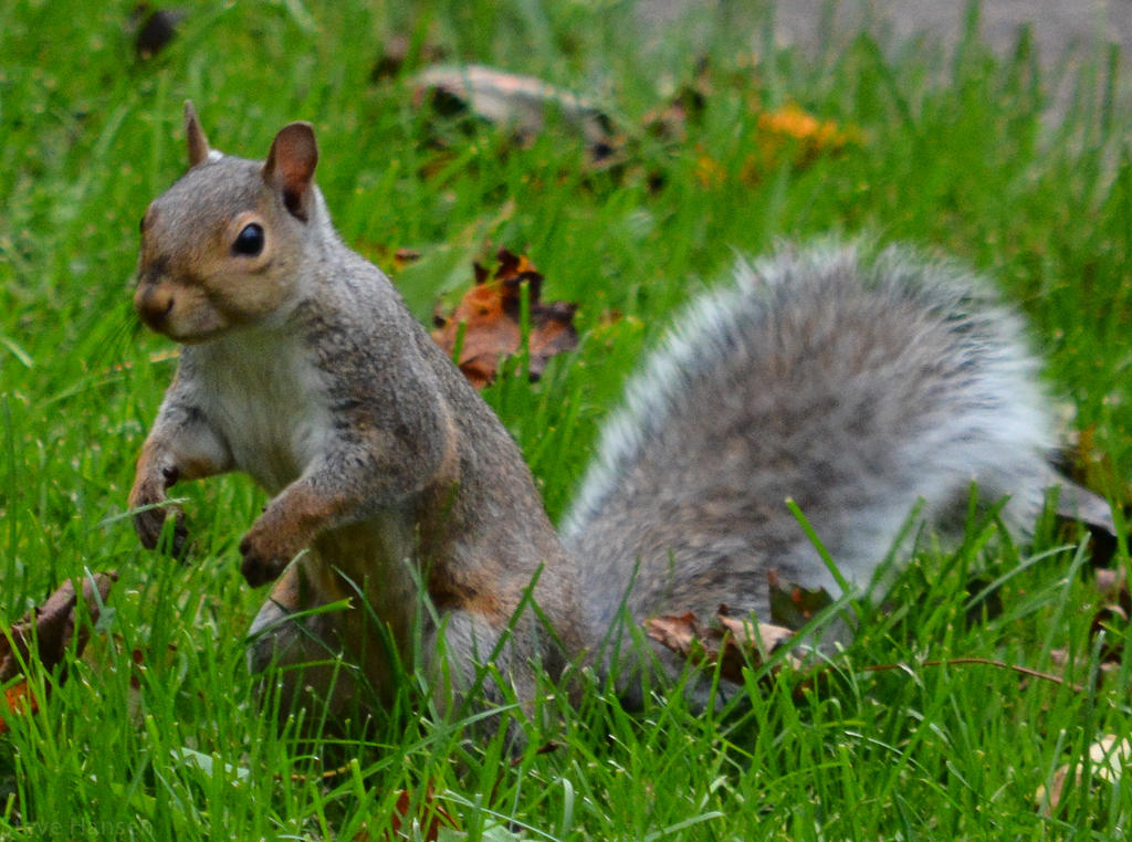 DSC_2400.jpg