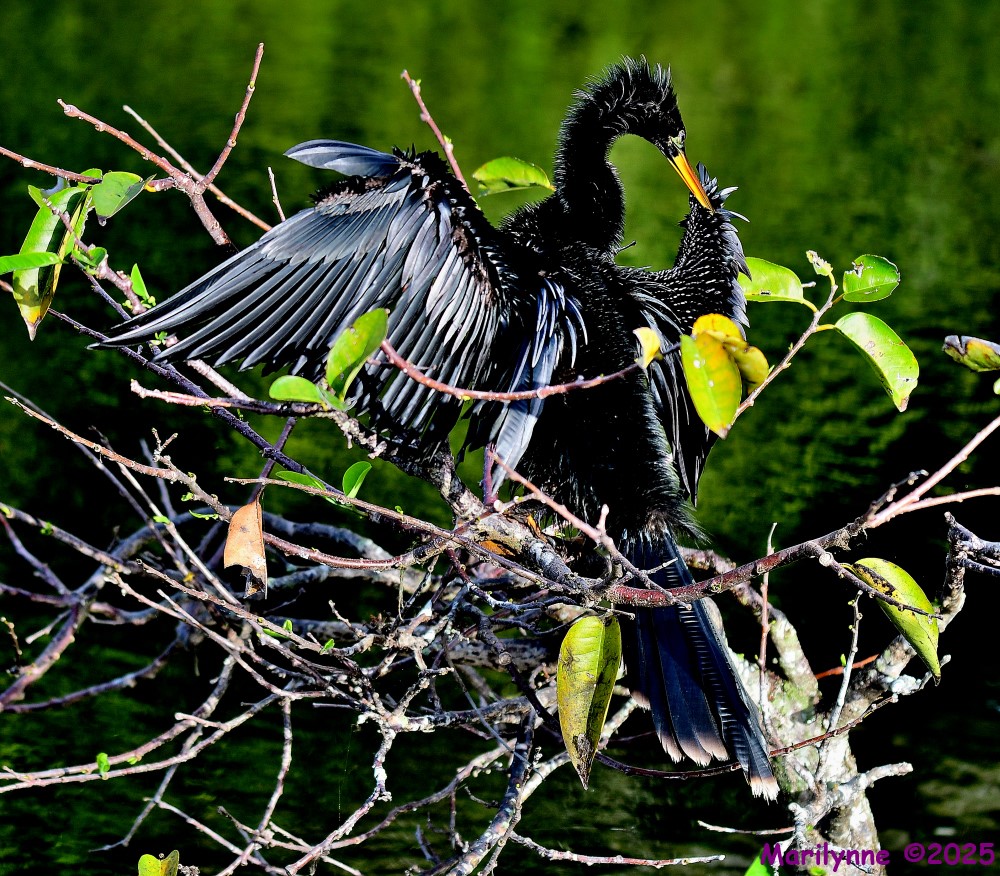 DSC_2403_stitch_001.JPG