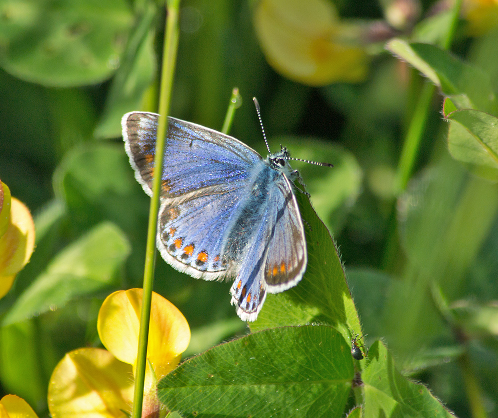 DSC_2404.jpg