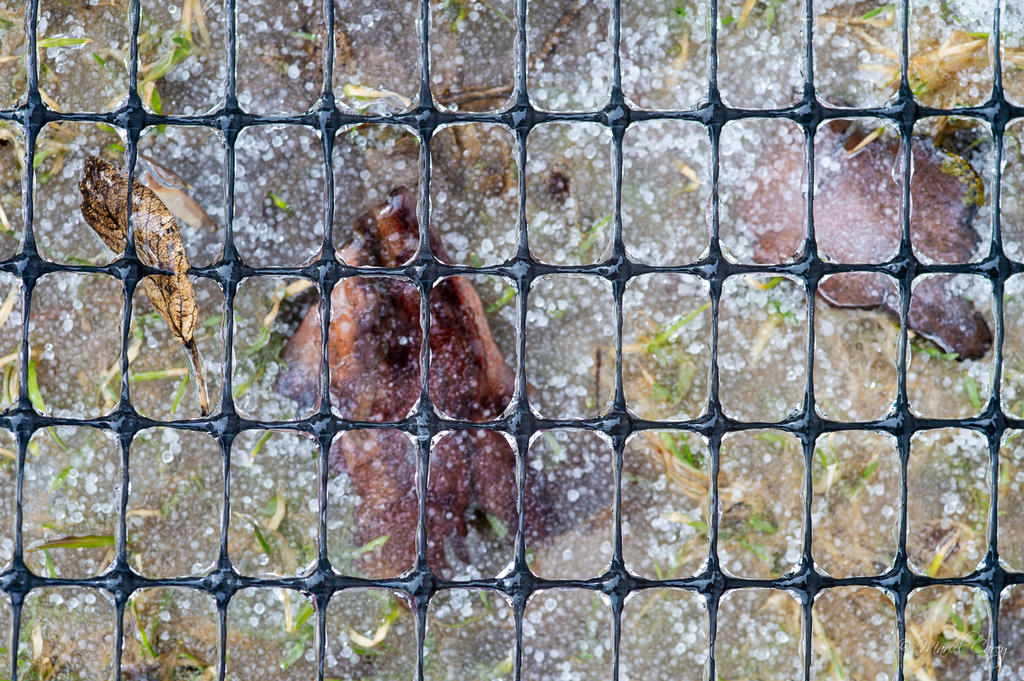 DSC_2405.jpg