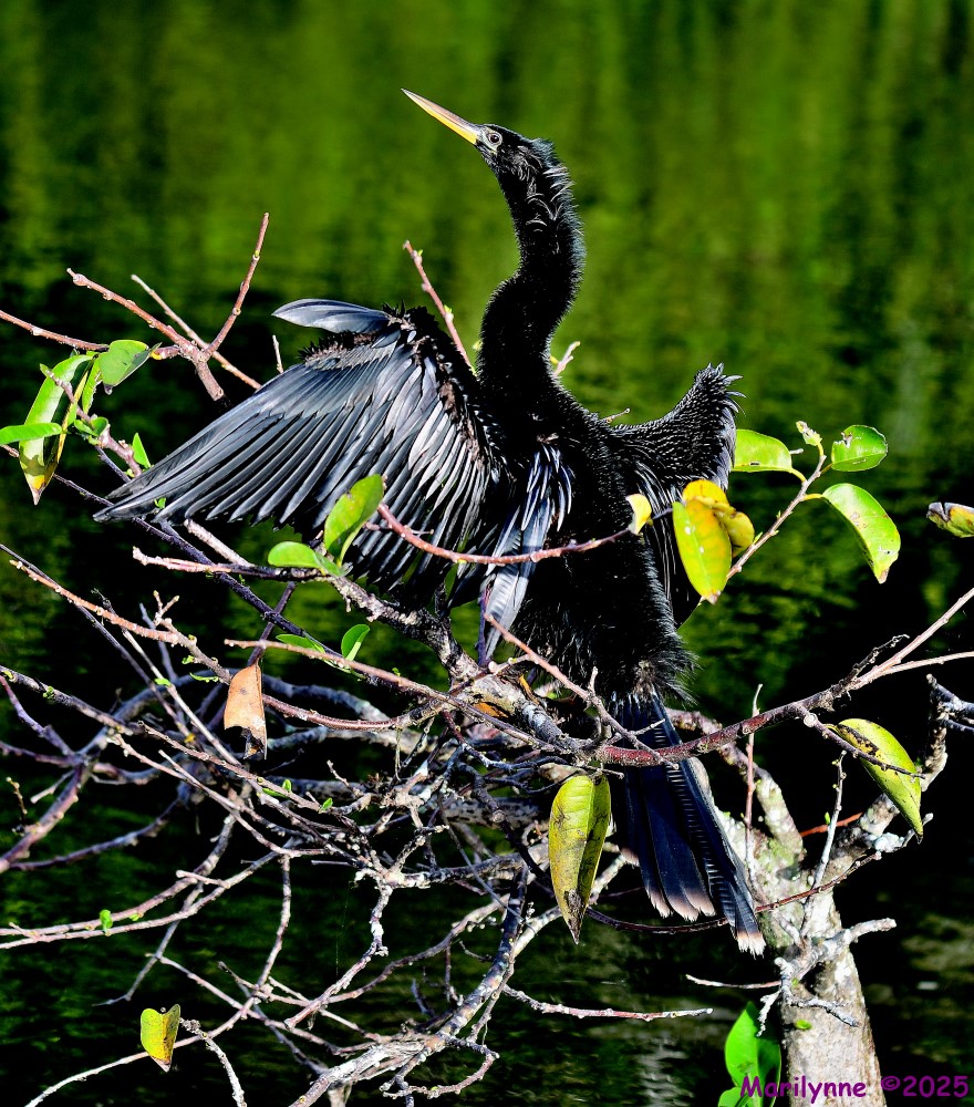 DSC_2406_stitch_001.JPG