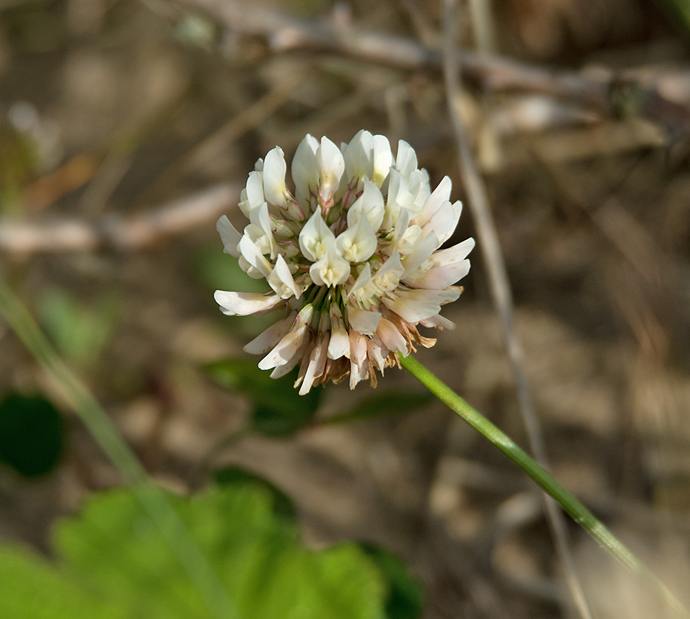 DSC_2410.jpg