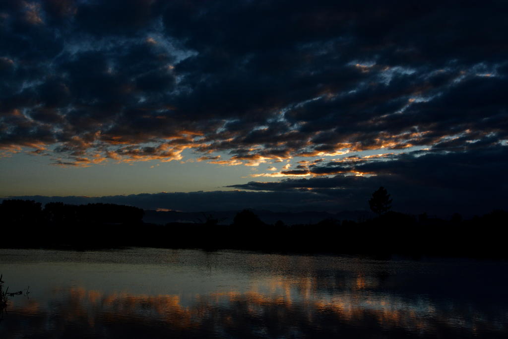 DSC_2422.jpg