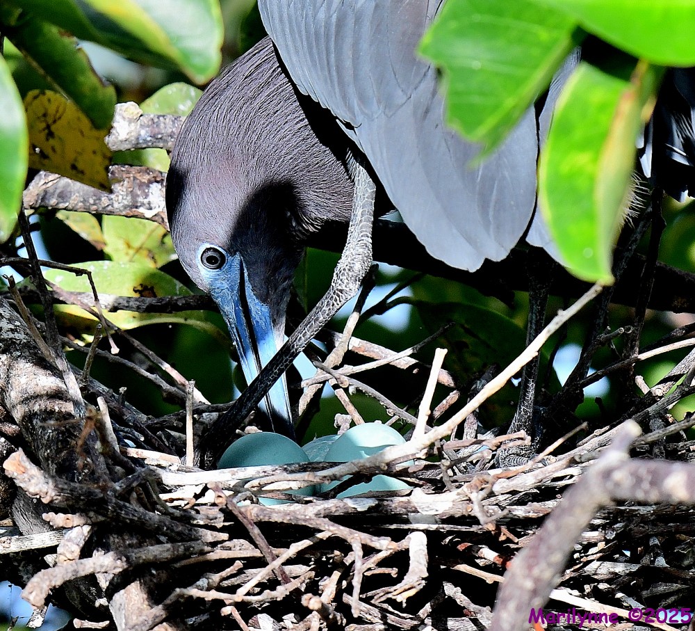 DSC_2422_001.JPG