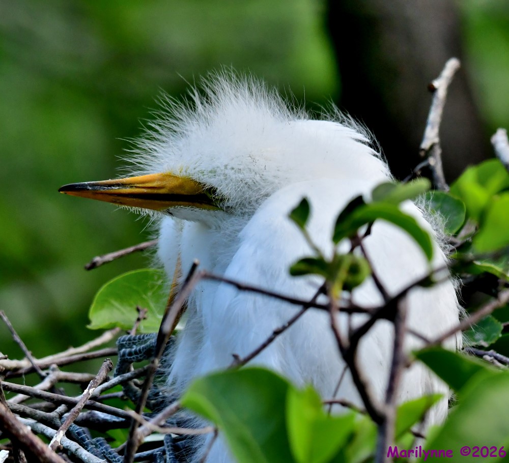 DSC_2427_001.JPG