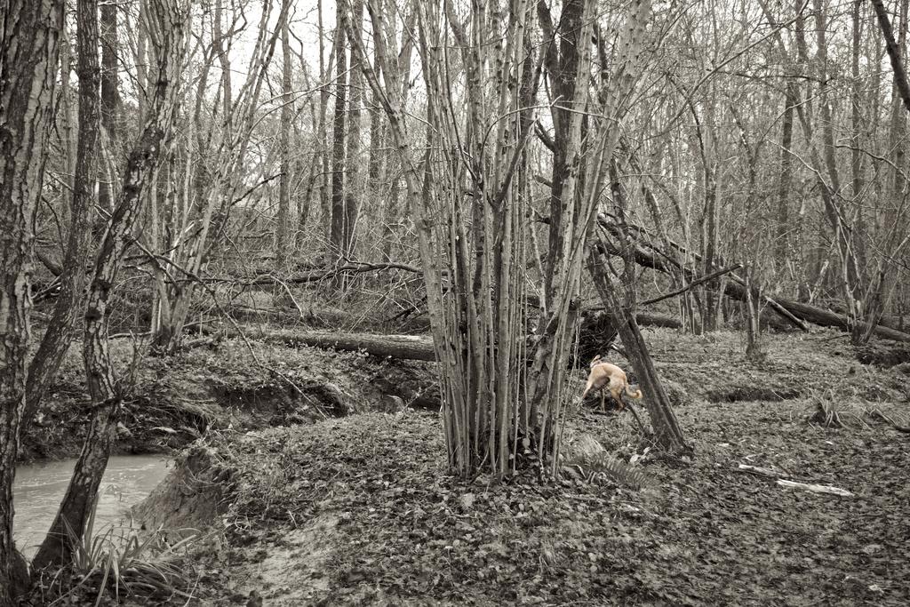 DSC_2428.jpg
