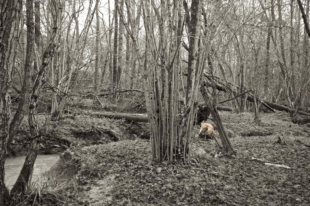 DSC_2428.jpg