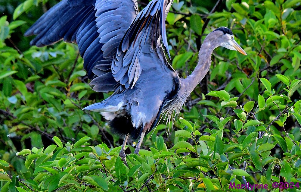 DSC_2430_001.JPG