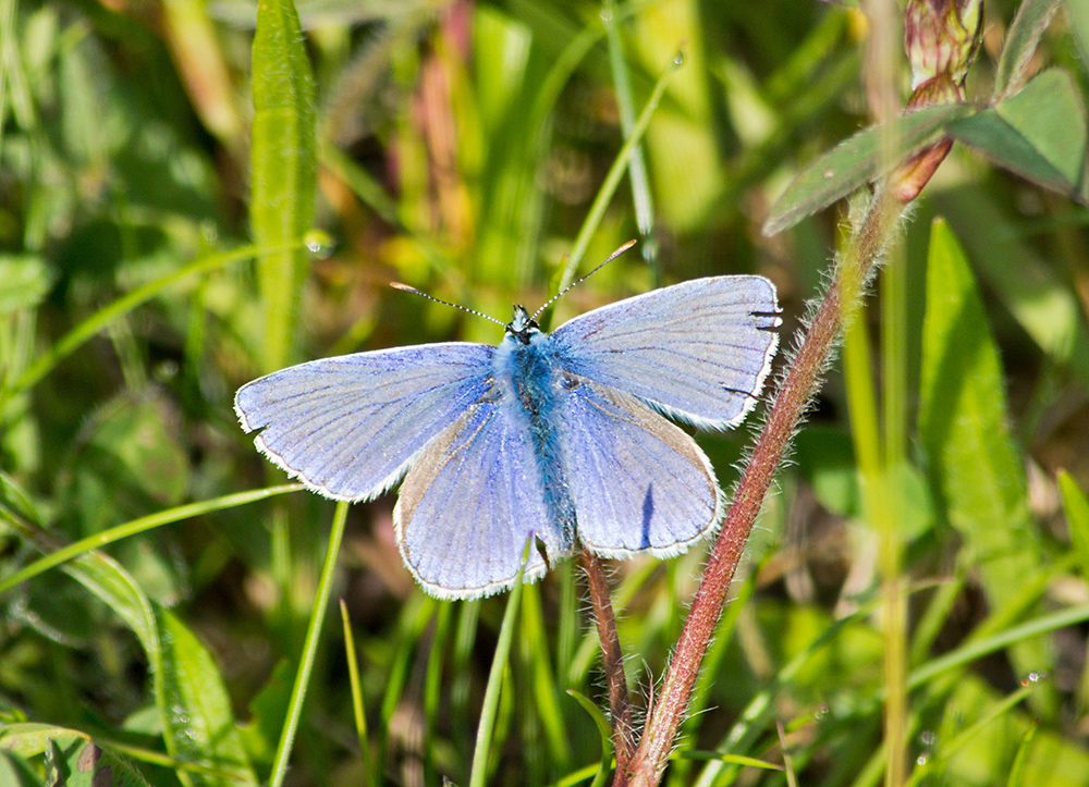 DSC_2432.jpg