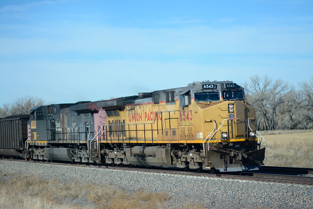 DSC_2440.JPG