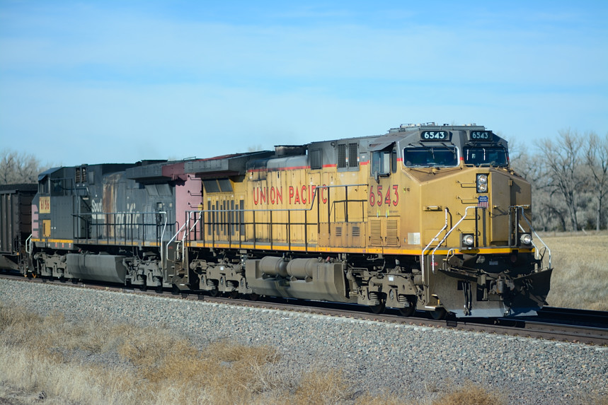 DSC_2441.JPG