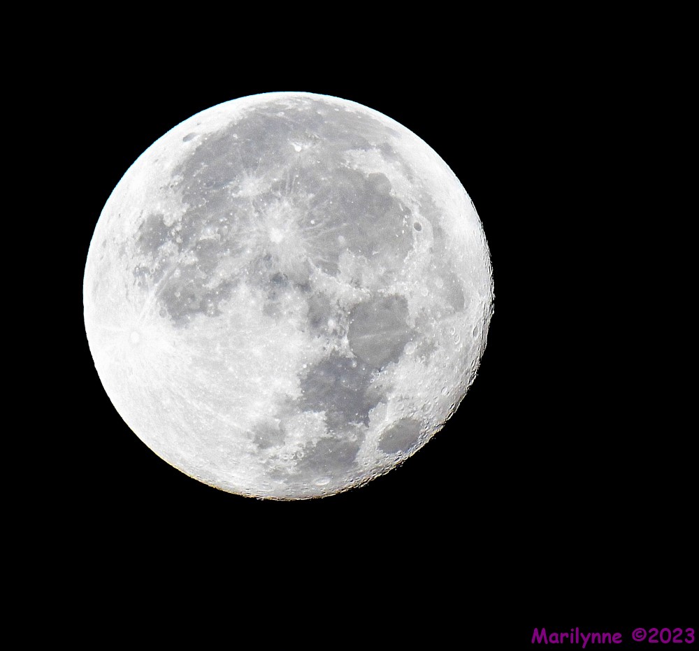 DSC_2442_001.JPG