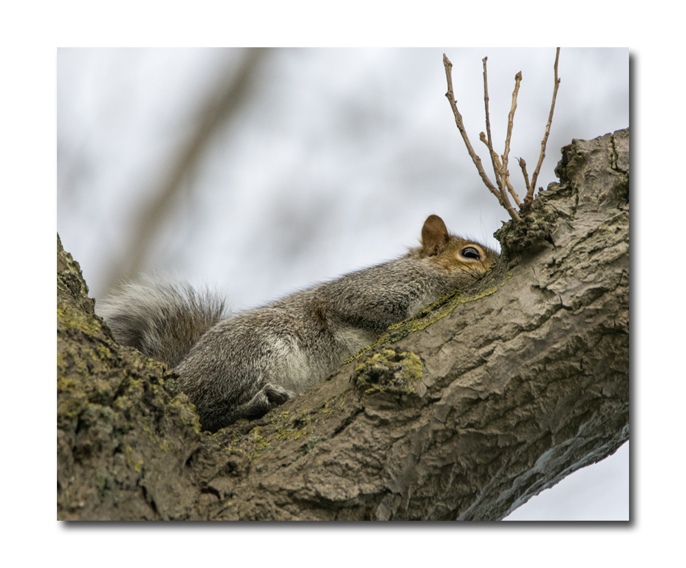 DSC_2443.jpg