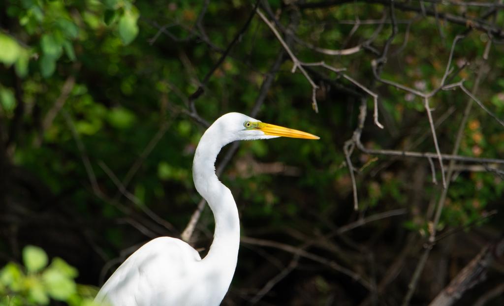 DSC_2443.jpg