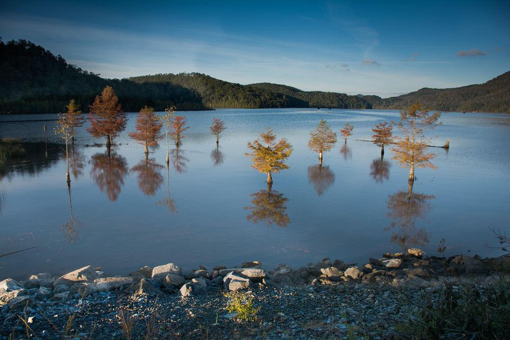 DSC_2444-Edit-Edit.jpg