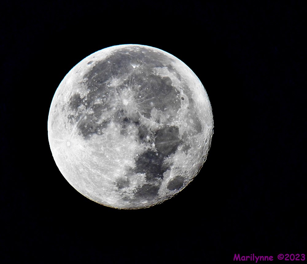 DSC_2446_001.JPG