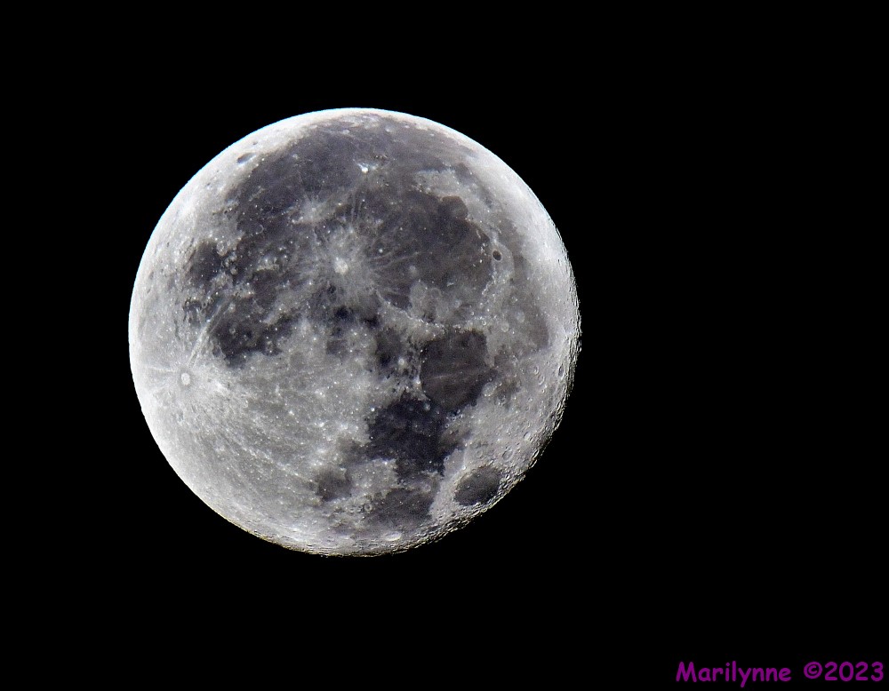 DSC_2448_001.JPG