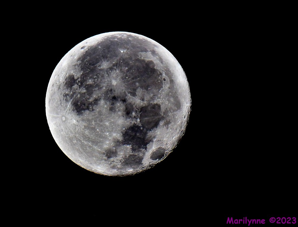 DSC_2451_001.JPG