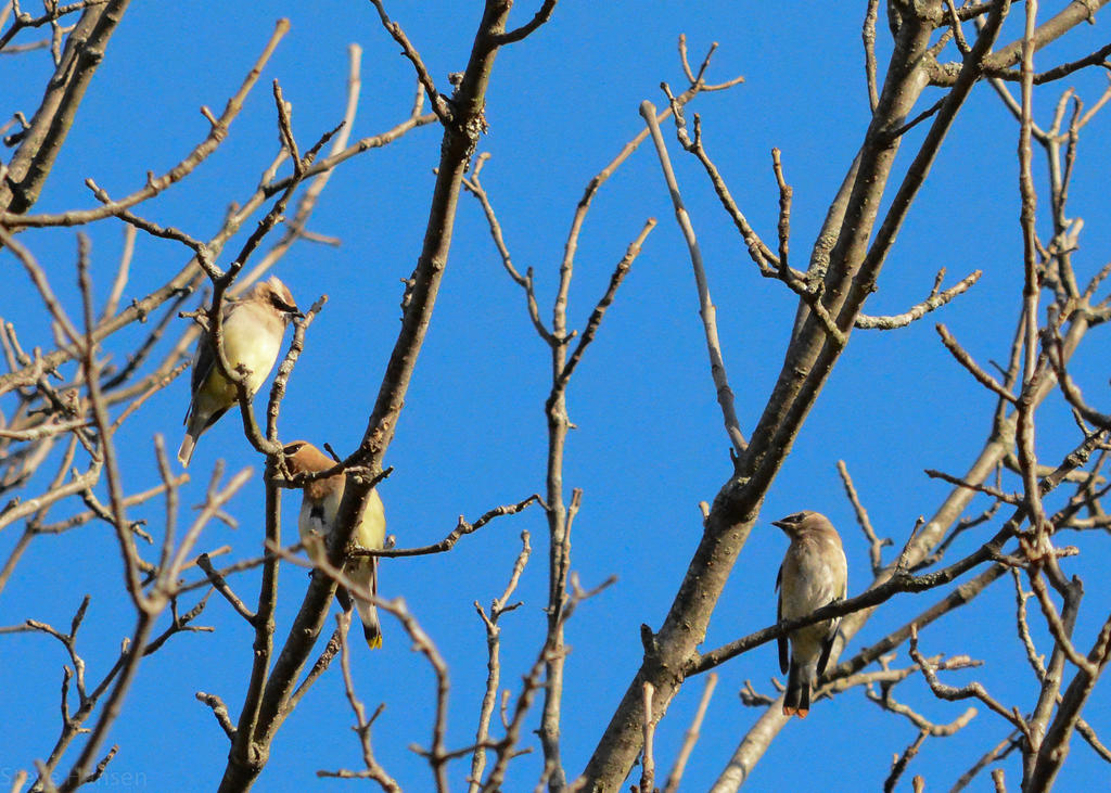DSC_2452.jpg