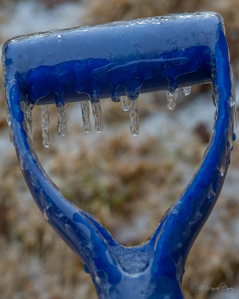 DSC_2452.jpg
