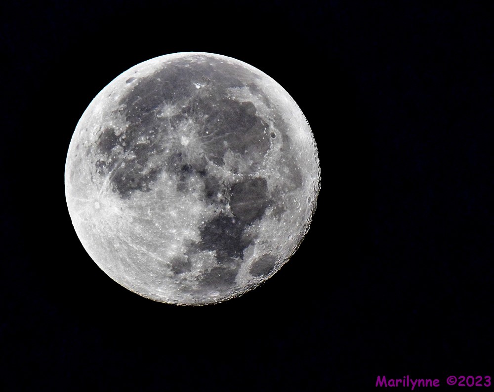 DSC_2453_001.JPG