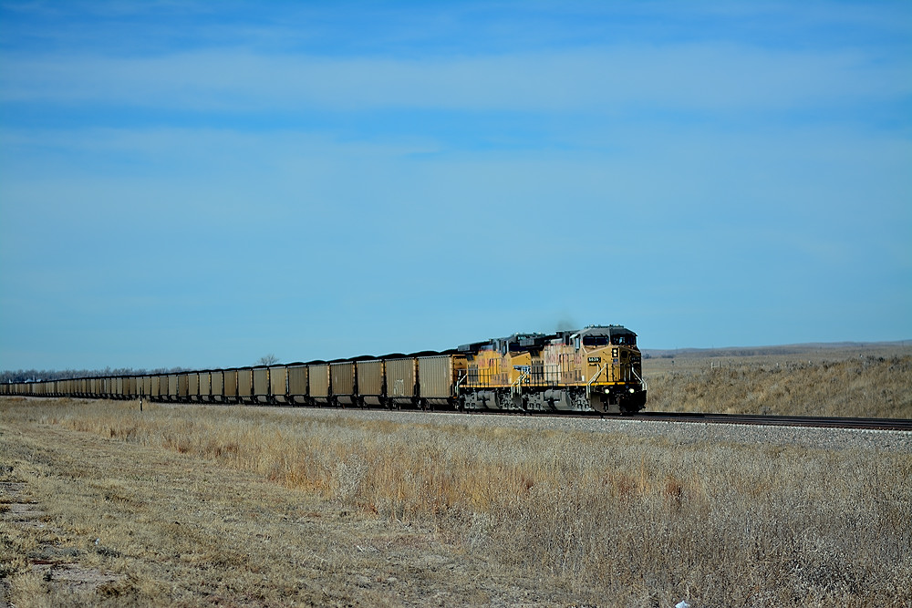 DSC_2454.JPG