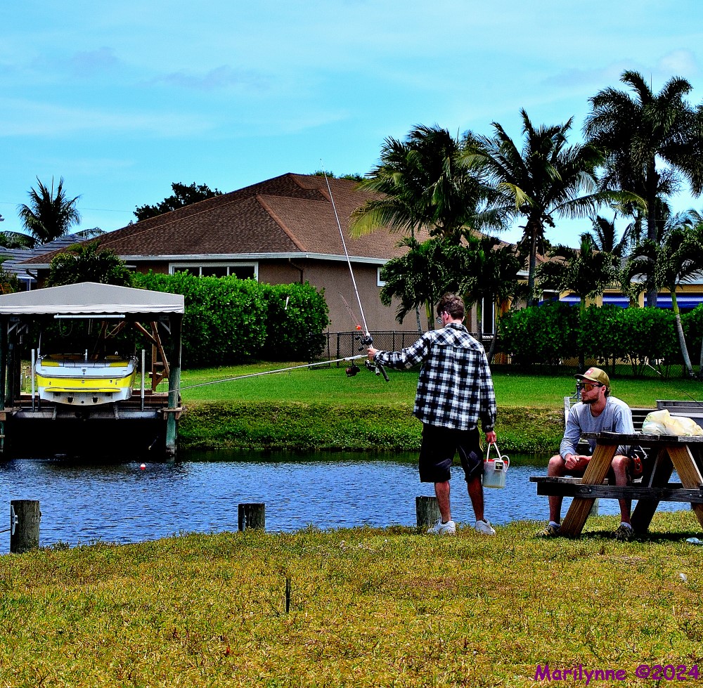 DSC_2454_001.JPG