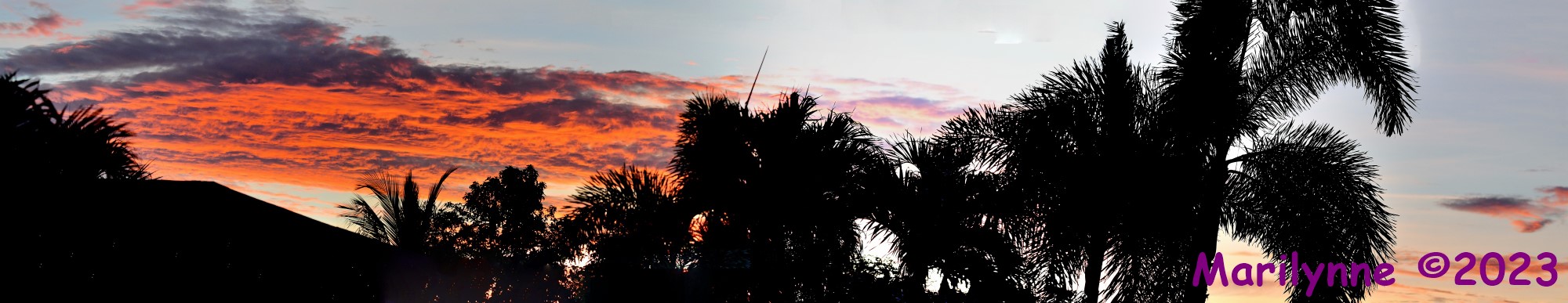 DSC_2455_stitch11_001.JPG