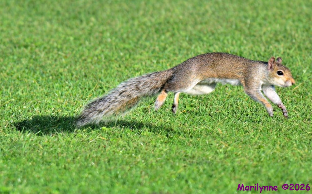 DSC_2456_001.JPG