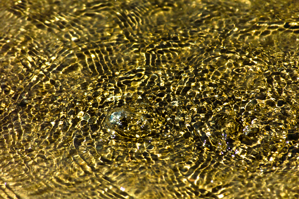 DSC_2456_150308_1024_001.jpg