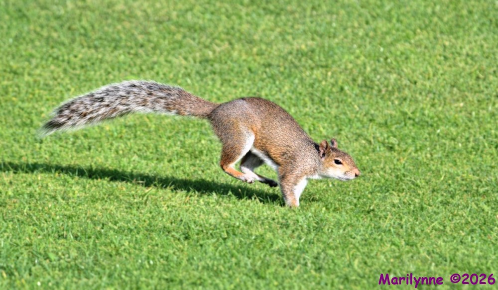 DSC_2457_001.JPG