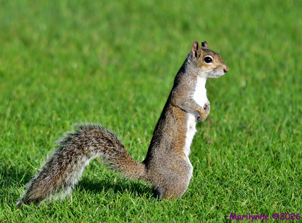 DSC_2458_001.JPG