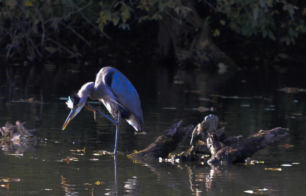 DSC_2463.jpg