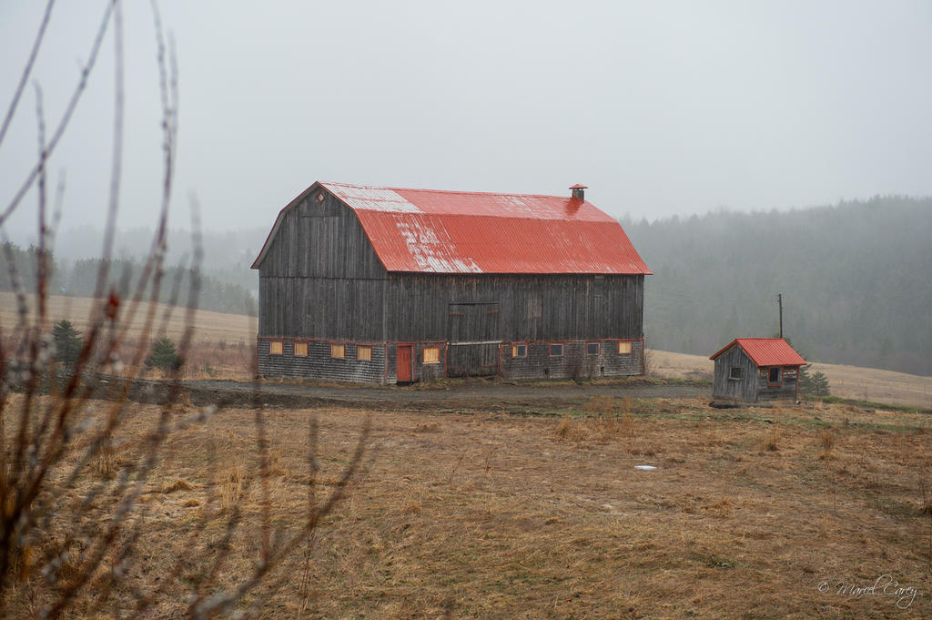 DSC_2465.jpg