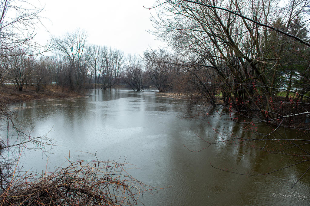 DSC_2468.jpg