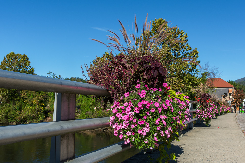DSC_2473-Edit-2.jpg