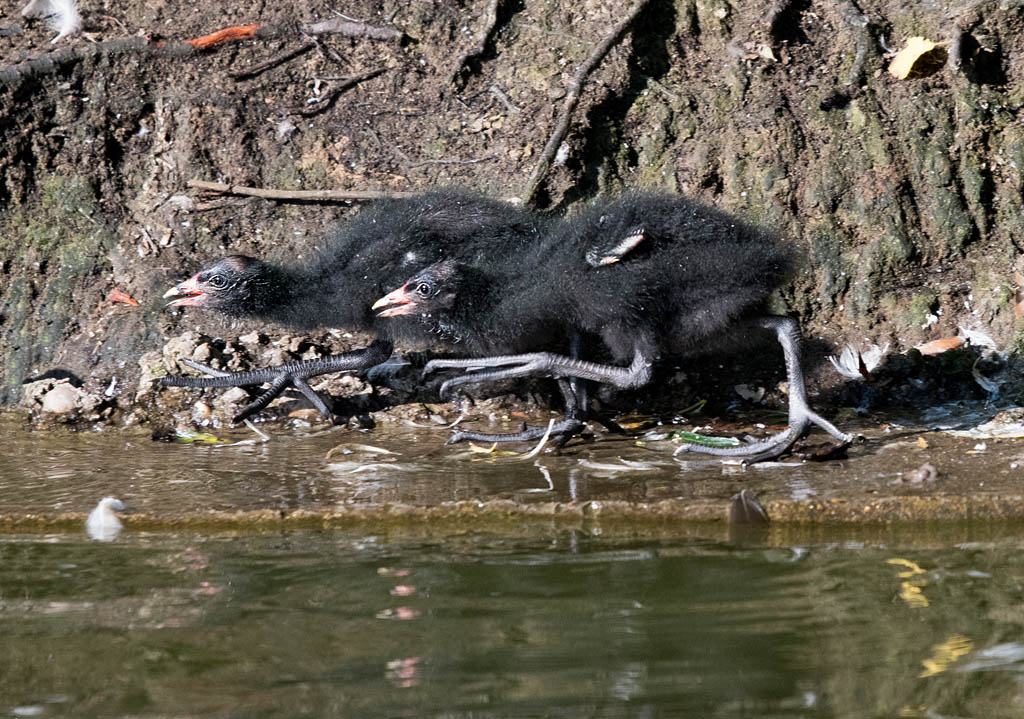 DSC_2473.jpg