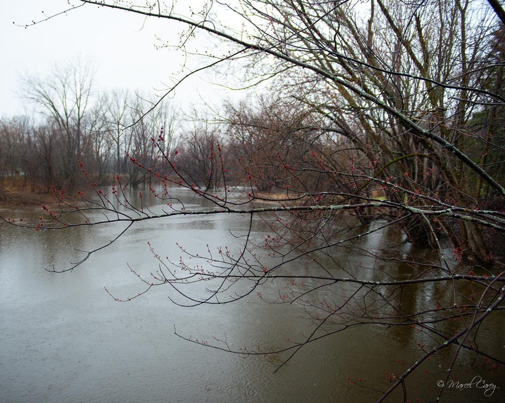 DSC_2473.jpg
