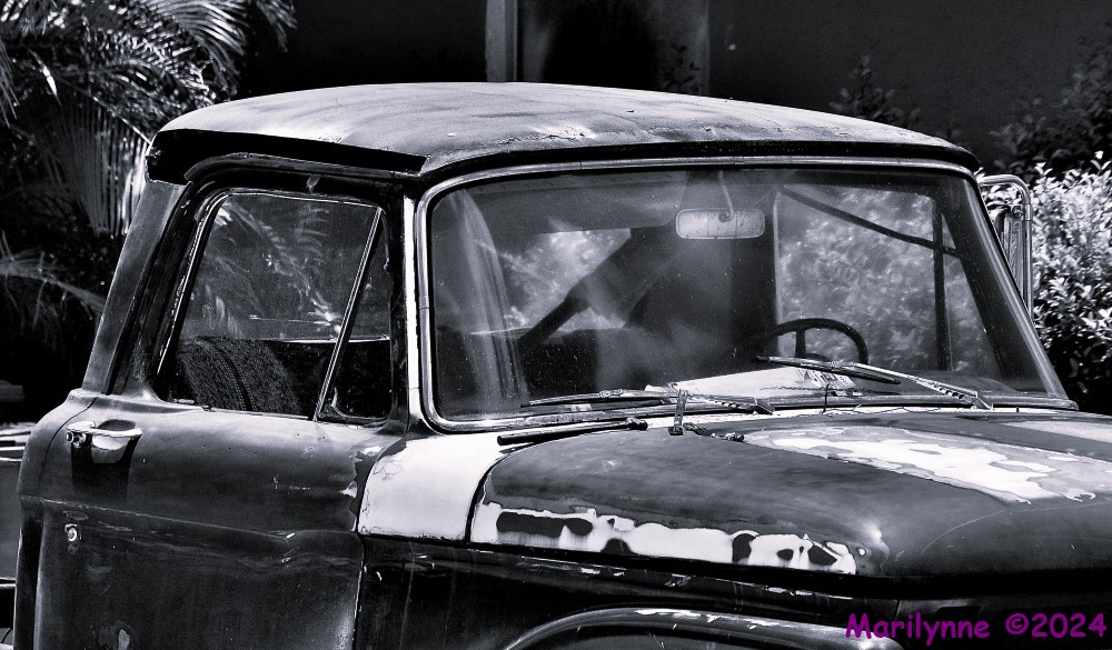 dsc_2476_001-copy-jpg.404967