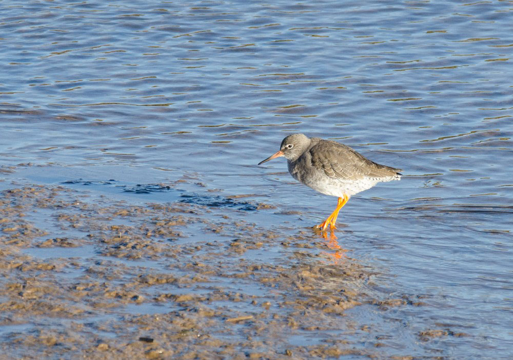 dsc_2476_11026229323_o.jpg